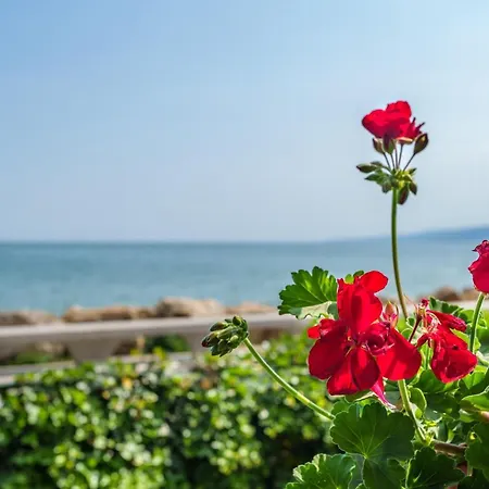 Apartment Poemia- Sea View, Free Parking, Complex Carpe Diem