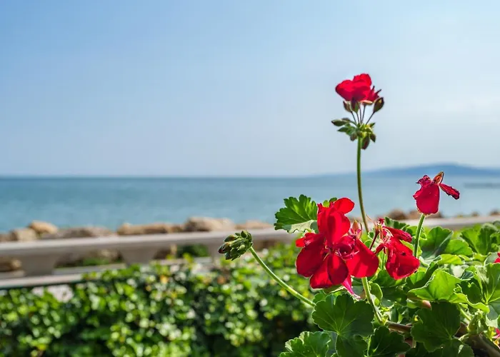 Apartamento Poemia- Sea View, Free Parking, Complex Carpe Diem